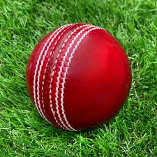 Cricket ball