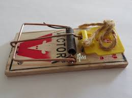 Mouse Traps